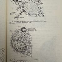Цитология и обща хистология-П.Петков, снимка 8 - Специализирана литература - 45351539