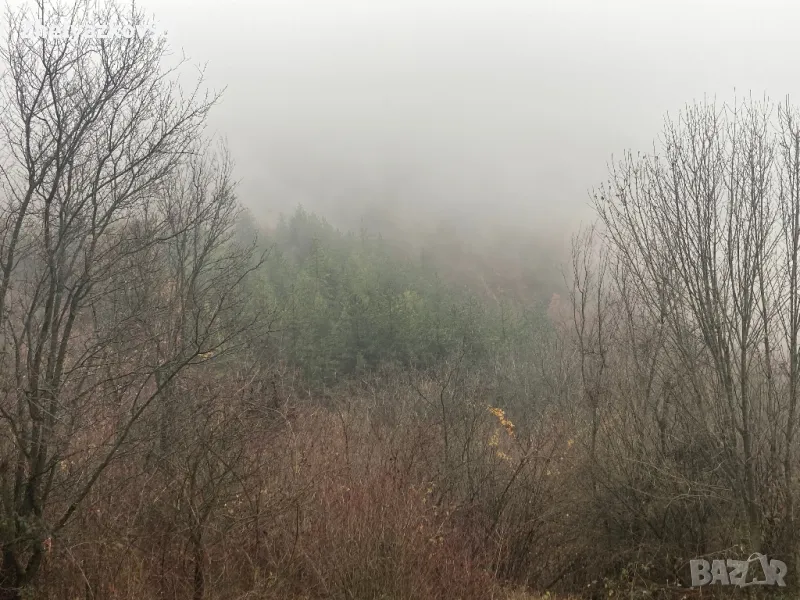 Купувам парцел, снимка 1