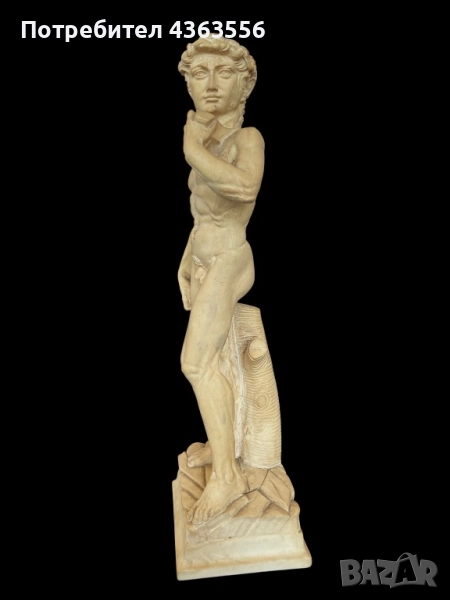 Винтич статуя на David , снимка 1