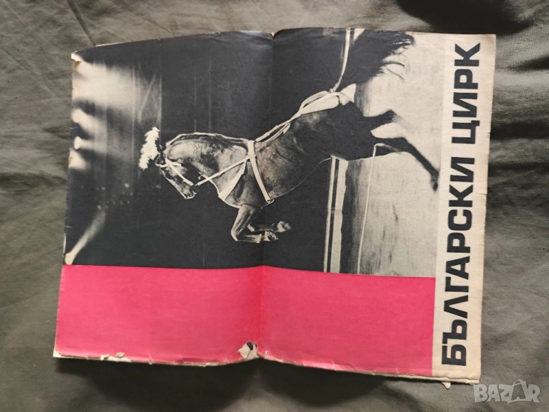 програми цирк: Български цирк 1971,Факел над арената, снимка 1