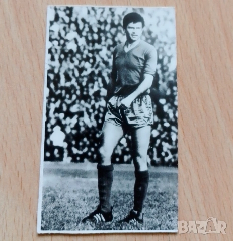 Календарче с Гунди