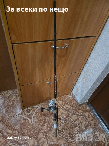 Карбонова въдица за шарани , снимка 5 - Въдици - 53643758