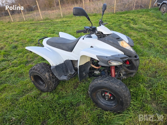 ATV Luxxon 300, снимка 4 - Мотоциклети и мототехника - 53687461