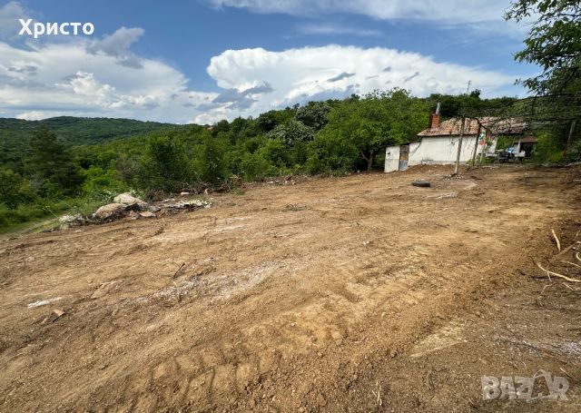 Просторен парцел с къща в землището на село Люляк с ток и вода, снимка 4 - Къщи - 46126657