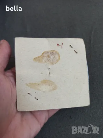Стара българска брошка  костен порцелан Бононя прекрасна  ръчна изработка в кутия нова.Цена 45 лв, снимка 4 - Други ценни предмети - 50405245