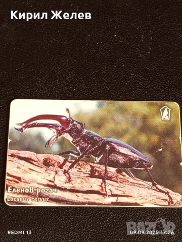 Три фонокарти МОБИКА тема ЖИВОТНИ БАЛКАНСКА ЧЕСНОВНИЦА,ЕЛЕНОВ РОГАЧ 47017, снимка 4 - Колекции - 51656788