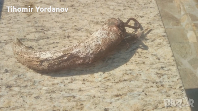 Катраник от биволски рог., снимка 8 - Антикварни и старинни предмети - 51320819