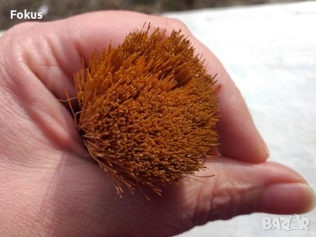 СТАРА ЧЕТКА ЗА БРЪСНЕНЕ КОТКА БРОНЗ, снимка 6 - Антикварни и старинни предмети - 53490390