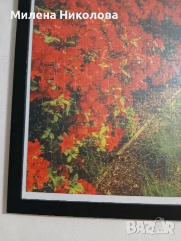 Пъзел картина 50/70, снимка 3 - Картини - 50049637