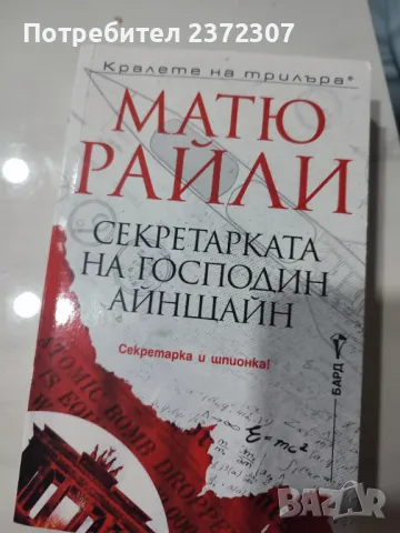 Секретарката на Айнщайн, снимка 1 - Художествена литература - 47945625