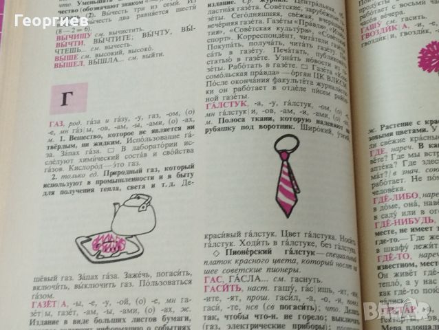 Тълковен речник на руските думи в руския език., снимка 6 - Чуждоезиково обучение, речници - 46021699
