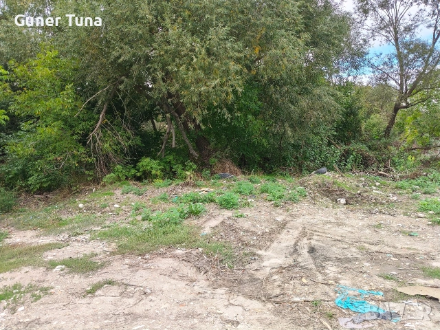 Три съседни парцела в с.Тополи Варна, снимка 5 - Парцели - 53739284