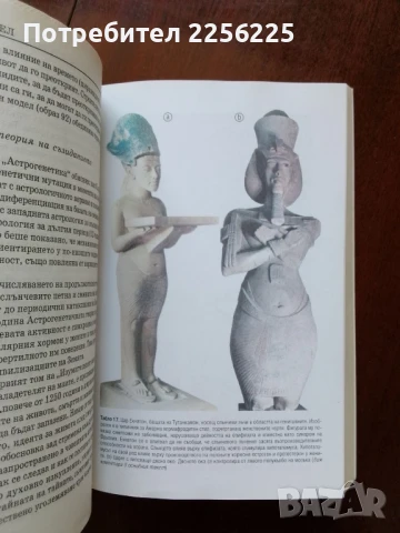 Пророчествата на Тутанкамон, снимка 5 - Художествена литература - 50934356