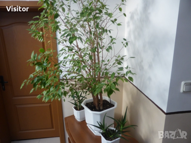 Panasonic Lumix DMC-TZ41   18 МРх, снимка 15 - Фотоапарати - 52736808