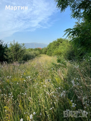 Косене на тревни площи и рязане на дърва и дървета