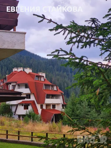 Студио"PANORAMA MOUNTAIN", до ски писта Пампорово - Стойките, снимка 9 - Стаи под наем - 48426022
