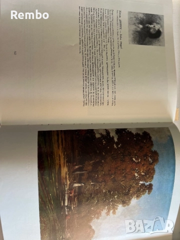 Книга Френска живопис от 19 век, снимка 6 - Специализирана литература - 51614389