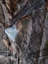 hillman photo camouflage 3dx - мъжки ловен комеплект 2ХЛ ТЪНЪК КАТО НОВ , снимка 8