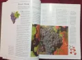 Голяма илюстрирана енциклопедия на виното / The Illustrated Encyclopedia of Wine, снимка 5