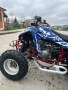 Yamaha Raptor 350cc 2006, снимка 8
