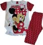 Комплект блузка с къс ръкав и къс клин, снимка 1 - Детски комплекти - 45279028
