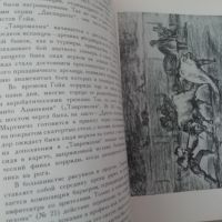 Великолепен албум на Рембранд/ДОмие/ Гоя, снимка 7 - Специализирана литература - 45297659
