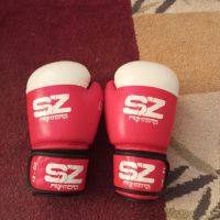 ръкавици за бокс, снимка 2 - Бокс - 45483022
