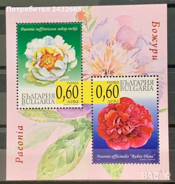 2164. България 2010 ~ БК 4921 : “ Флора. Божури.”, **, MNH, снимка 1