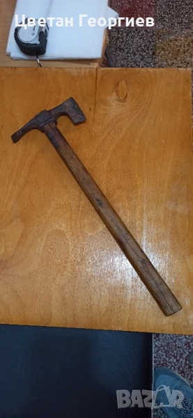 малка брадвичка, снимка 1