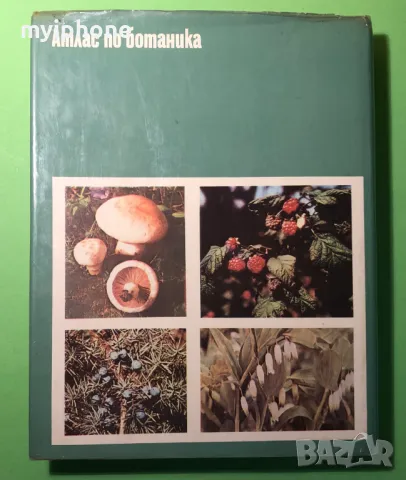 Стара Книга Атлас по Ботаника/Сл.Петров,Е.Паламарев, снимка 13 - Специализирана литература - 49279602