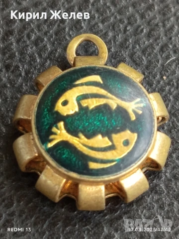 ВИНТИДЖ МЕДАЛЬОН С ЗОДИАКАЛЕН ЗНАК РИБИ НА ДЖИЙН ДИКСЪН 17443, снимка 3 - Колиета, медальони, синджири - 51394344