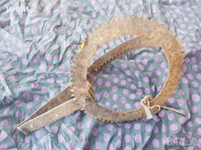 Капан клюса със зъби , снимка 2 - Антикварни и старинни предмети - 53134505