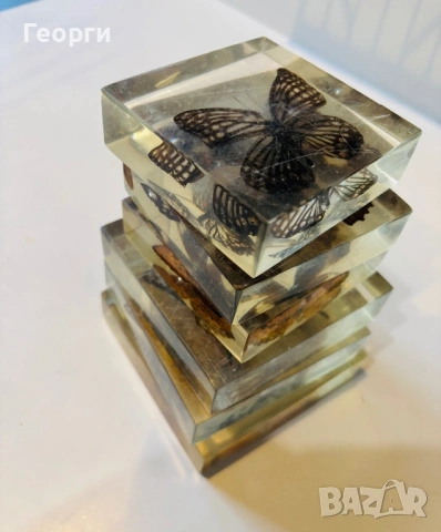 Пеперуди, снимка 11 - Колекции - 53656258