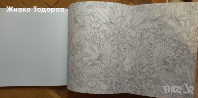 Книга за Оцветяване за възрастни Millie Marotta's Tropical Wonderland, снимка 3 - Други - 45523733