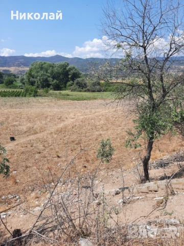 Зем.земя с-ло Струмяни  под Чешмата, снимка 6 - Земеделска земя - 51311734