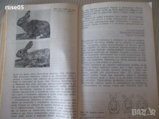 Книга "Въпроси и отговори по зайцевъдство-Н.Дамянова"-176стр, снимка 4 - Специализирана литература - 53214646