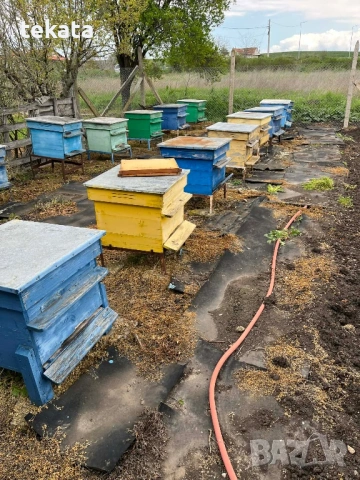 Кошери със магазини