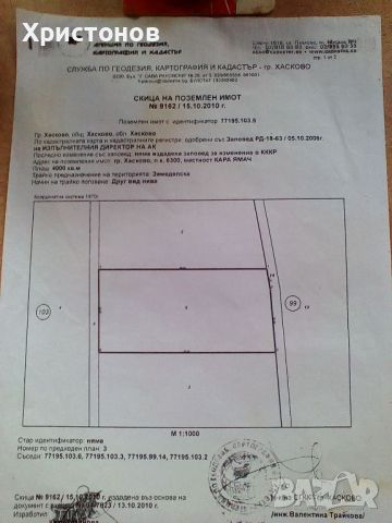 Атрактивна земя за инвестиция,четири декара, снимка 1 - Парцели - 46019652