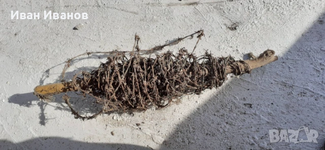 Бодлива тел , снимка 6 - Огради и мрежи - 54228681