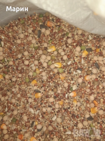 Храна за гълъби птици, снимка 2 - За птици - 54114048