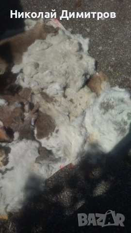 Заешки кожи обработени в кожарска за фабрика Велур . При покупка над 5 кожи безплатна доставка., снимка 9 - Други - 51549805