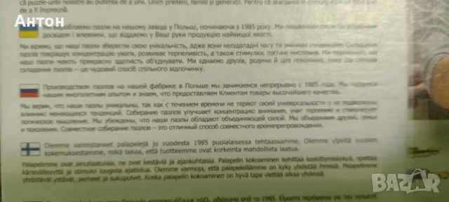 Пъзел 1000 части - Кулата в Пиза, снимка 5 - Пъзели - 47090401