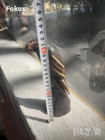 Страхотна фигура статуетка на папагал от рог, снимка 6 - Антикварни и старинни предмети - 53370408