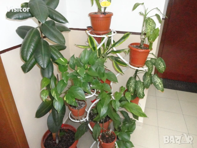 Sony Cyber-shot DSC-W570   16.1 МРх, снимка 17 - Фотоапарати - 53617567