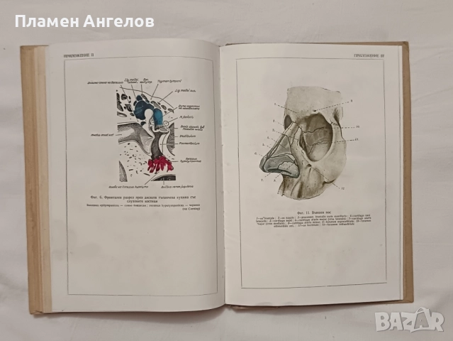 Учебник по Уши, носни и гърлени болести. , снимка 5 - Специализирана литература - 52182429