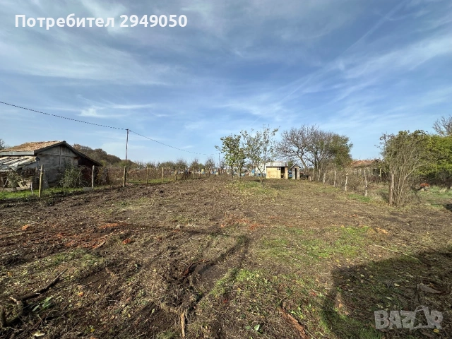 Почистване на дворове и всякакъв вид парцели, снимка 16 - Други услуги - 54068795