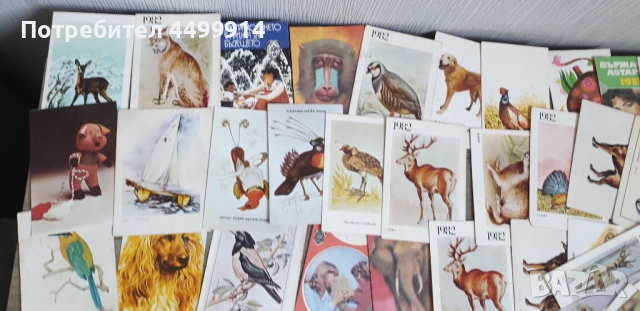 Календарчета -82 броя от 1983 до 1986 година, снимка 5 - Колекции - 54216771