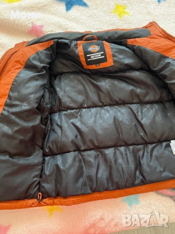 Преходно Яке Dickies, снимка 10 - Якета - 52385976