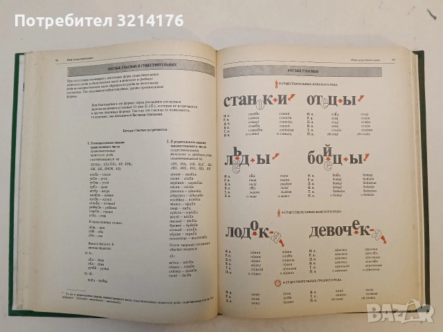 Грамматика русского языка в иллюстрациях - К. И. Пехливанова, М. Н. Лебедева, снимка 2 - Детски книжки - 52575484
