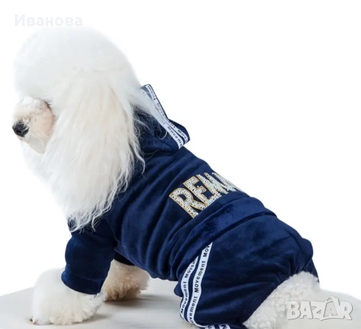 Дреха за куче, снимка 3 - За кучета - 52056070